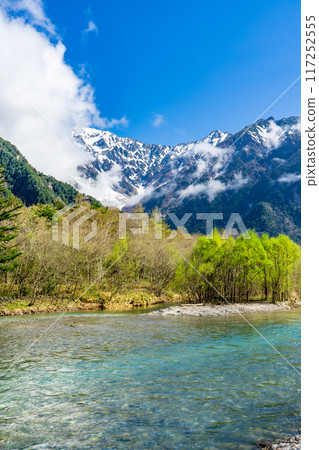 Early summer on the Kamikochi Nature Trail: Early morning forest walk on Mount Maehotaka and Tsurione 117252555