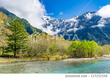 Early summer on the Kamikochi Nature Trail: Early morning forest walk on Mount Maehotaka and Tsurione 117252556