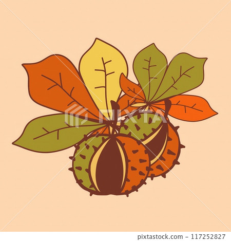 Two chestnuts nestled among vibrant fall leaves featuring shades of orange, green, and yellow. Two chestnuts nestled among vibrant fall leaves featuring shades of orange, green, and yellow. 117252827