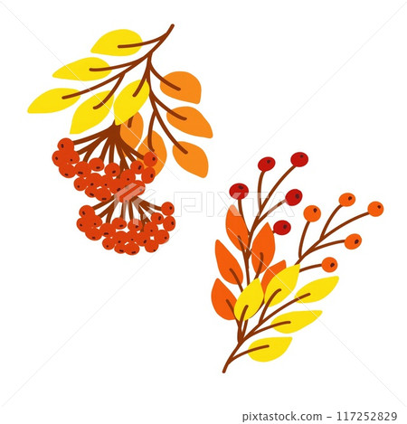 Colorful clusters of autumn leaves and berries showcasing vivid orange and yellow hues, representing the beauty of the autumn season. Colorful clusters of autumn leaves and berries showcasing vivid orange and yellow hues, representing the beauty of the autumn season. 117252829