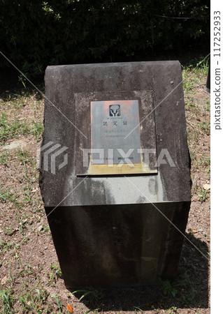 Jakushin-san's camphor tree in Kita-ku, Kumamoto City 117252933