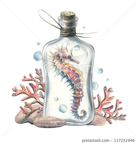 Seahorse, corals, pebbles and bubbles inside a glass bottle with a stopper. Hand drawn watercolor illustration of the underwater world. Composition isolated from the background. 117252946