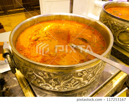 A picture of Paneer recipe with selective focus A picture of Paneer recipe with selective focus 117253167