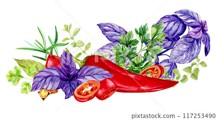Kitchen herbs template. Rosemary, thyme, chili, basil, mint, bay leaf. Watercolor banner with space for text. Italian cuisine spices, linear composition on white background. Provence plants. 117253490