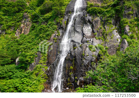 Shirane Falls Shirane Falls 117253500