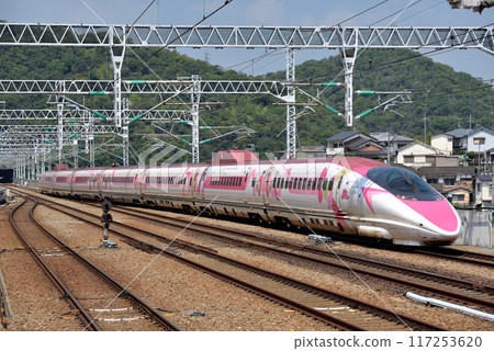 Hello Kitty 規格 500 系列 V2 編隊 Kodama Hello Kitty 規格 500 系列 V2 編隊 Kodama 117253620