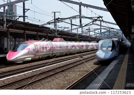 500系列V2編隊小玉和700系列7000系列E14編隊小玉 117253623