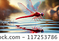 紅蜻蜓在水面上優雅地飛翔 117253786