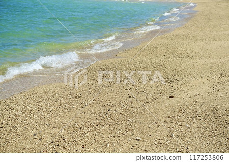 珊瑚沙灘與翠綠的大海 珊瑚沙灘與翠綠的大海 117253806