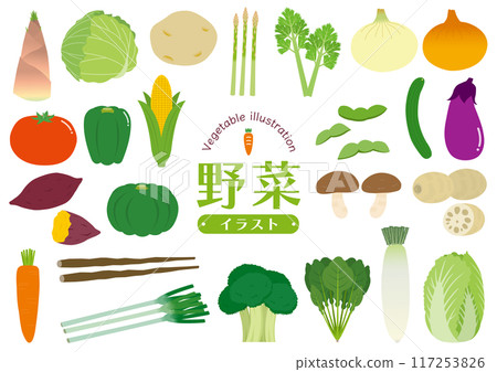 A set of various vegetable illustrations 117253826
