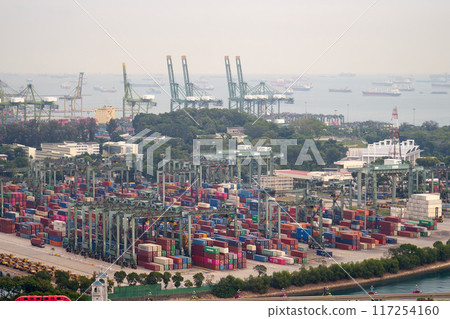 新加坡, 布拉尼島 117254160