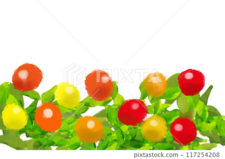 Five-colored chili pepper card 117254208