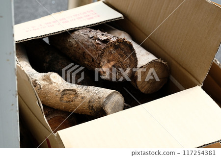 Logs in cardboard Logs in cardboard 117254381