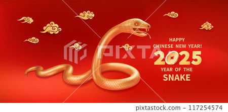 2025 Year of the Snake 21 2025 Year of the Snake 21 117254574