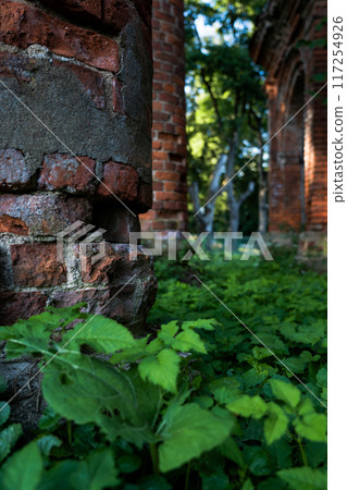 Old brick columns in the thick grass 117254926