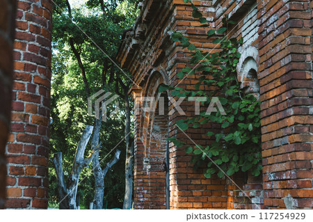 Columns. Vertical windows in an old brick building Columns. Vertical windows in an old brick building 117254929