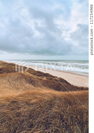 Overcast day at the Dunes in Denmark Overcast day at the Dunes in Denmark 117254966