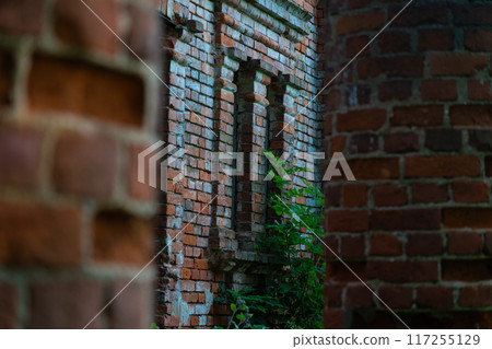Vertical, old building windows through brick columns, framing 117255129