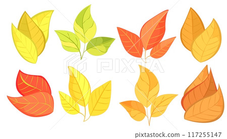 Various colorful autumn leaves in different shapes, illustrated in a vibrant graphic style on a white background, representing fall season. Vector illustration Various colorful autumn leaves in different shapes, illustrated in a vibrant graphic style on a white background, representing fall season. Vector illustration 117255147