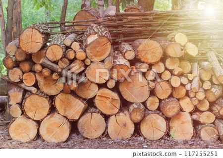 Firewood warehouse in the countryside. Stock of firewood. Woodpile fresh cut pine logs at sawmill factory. Natural wooden background. Firewood warehouse in the countryside. Stock of firewood. Woodpile fresh cut pine logs at sawmill factory. Natural wooden background. 117255251
