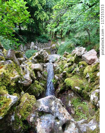forest landscape with small river forest landscape with small river 117255353