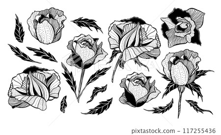 Black and White Fantasy Stylized Rose Flowers Collection, Tattoo Design Set, Inky Meditative Art Prints, Vector Decorative Elements Bundle Black and White Fantasy Stylized Rose Flowers Collection, Tattoo Design Set, Inky Meditative Art Prints, Vector Decorative Elements Bundle 117255436