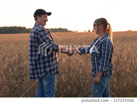 A beautiful couple of farmers at sunset inspects a field with wheat before selling grain Make notes on the tablet. Farmers smile and shake hands at sunset in the field. Agricultural business concept. 117255508