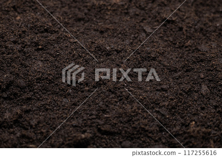 Beautiful background of fertile land close up. The background is entirely made of black soil with a well-defined texture and grains. Black fertile soil loosened before planting close-up. 117255616