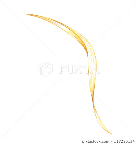 Single, elegantly curved oat leaf in warm golden tones. Watercolor clipart. Botanical illustration ideal for herbal product labels, natural cosmetics packaging, and eco-friendly design projects Single, elegantly curved oat leaf in warm golden tones. Watercolor clipart. Botanical illustration ideal for herbal product labels, natural cosmetics packaging, and eco-friendly design projects 117256134