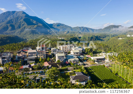 aerial view of Yuchi landscape 117256367