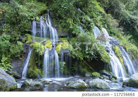 Dragon waterfall 117256668