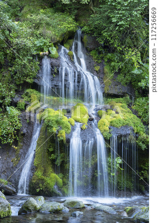 Dragon waterfall 117256669