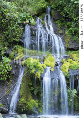 Dragon waterfall 117256670