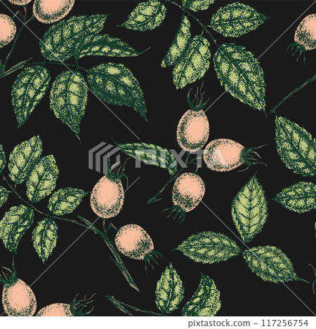 Wild rose flowers drawing and sketch with pointillism on black backgrounds. Vintage pattern of branch with rosehip fruits and leaves. Wild rose flowers drawing and sketch with pointillism on black backgrounds. Vintage pattern of branch with rosehip fruits and leaves. 117256754