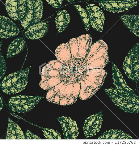 Wild rose flowers drawing and sketch with pointillism on black backgrounds. Vintage pattern of branch with rosehip fruits and leaves. Wild rose flowers drawing and sketch with pointillism on black backgrounds. Vintage pattern of branch with rosehip fruits and leaves. 117256768