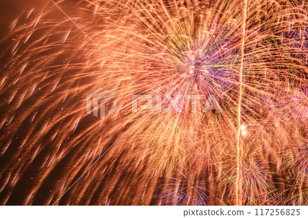 人氣關東戶田橋板橋煙火大會的Starmine 117256825