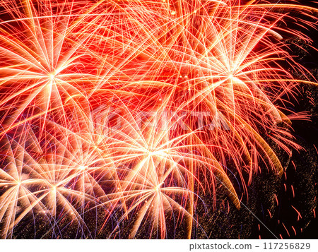 Kanto's popular Todabashi Fireworks Festival: Starmine Kanto's popular Todabashi Fireworks Festival: Starmine 117256829