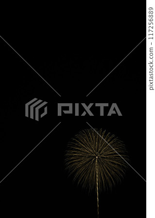 Simple skyrocket 117256889