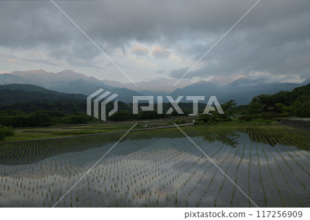 The Southern Alps at dawn reflected in a rice paddy field after rice planting at Suisha no Sato Park in Takekawa-cho, Hokuto City The Southern Alps at dawn reflected in a rice paddy field after rice planting at Suisha no Sato Park in Takekawa-cho, Hokuto City 117256909