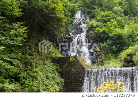 Fudo Falls at Matsunoyama Onsen, Niigata Prefecture Fudo Falls at Matsunoyama Onsen, Niigata Prefecture 117257379