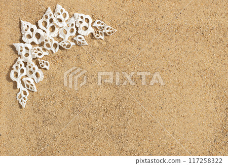 Frame with carved white shells on the sand. Beautiful seashells on the beach with copy space. Top view, flat lay. 117258322