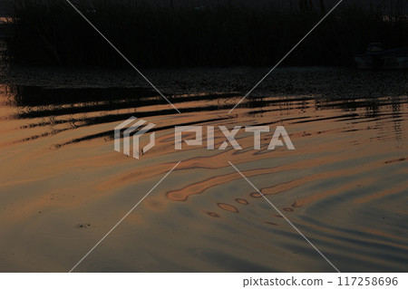 A quiet morning 117258696