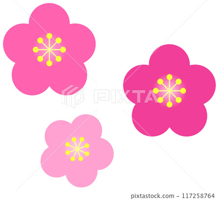 梅花隨季節綻放,絢麗多彩 梅花隨季節綻放,絢麗多彩 117258764