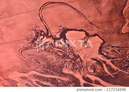 龍元院、海祖堂、天花板上的紅龍畫 117258890