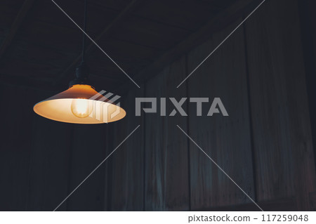 Retro light bulb lighting and dark wooden wall 117259048
