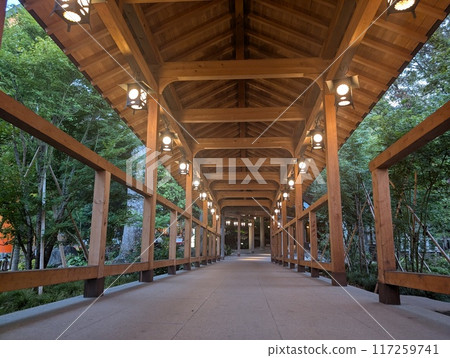 川越冰川神社的迴廊 117259741