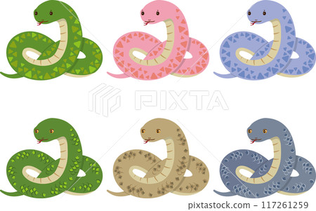 蛇套裝1 117261259