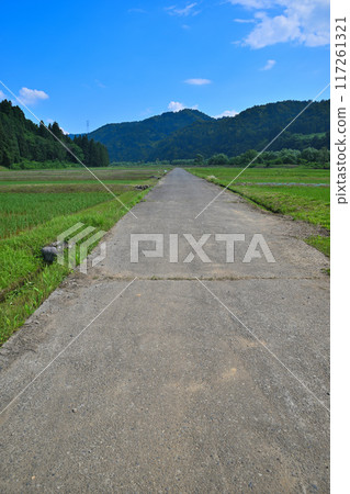 新潟縣十日町市清津川沿岸越後寧靜的田園風光 新潟縣十日町市清津川沿岸越後寧靜的田園風光 117261321