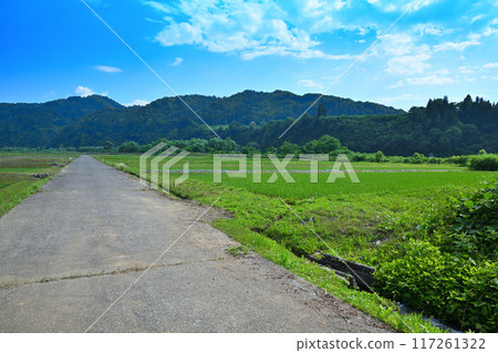 A peaceful rural landscape in Echigo, along the Kiyotsu River, Tokamachi City, Niigata Prefecture A peaceful rural landscape in Echigo, along the Kiyotsu River, Tokamachi City, Niigata Prefecture 117261322