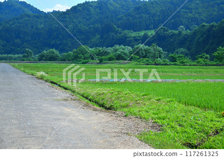 新潟縣十日町市清津川沿岸越後寧靜的田園風光 117261325